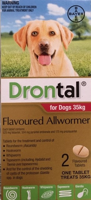 Drontal Dog Chew 35kg 2pk Flavoured