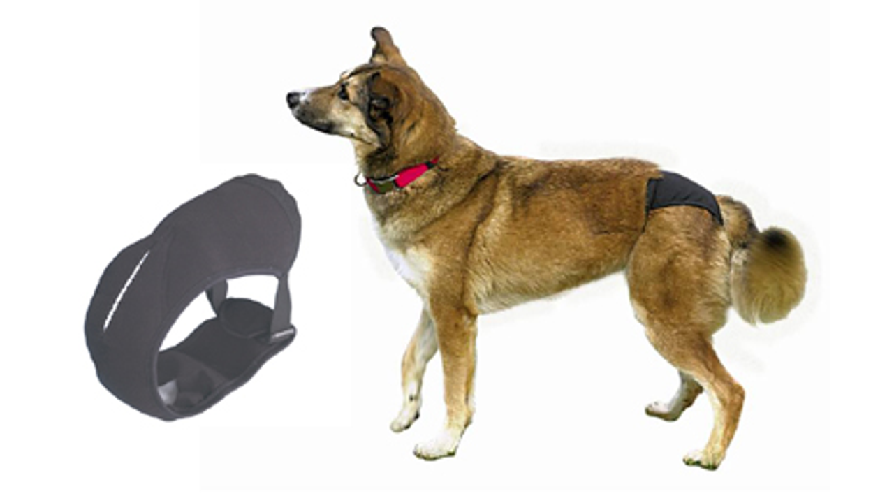 Protective Dog Pants S [size:s]