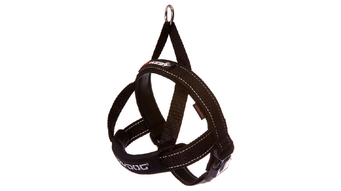 Ed Harness Qf Black S [size:s  Colour:black]