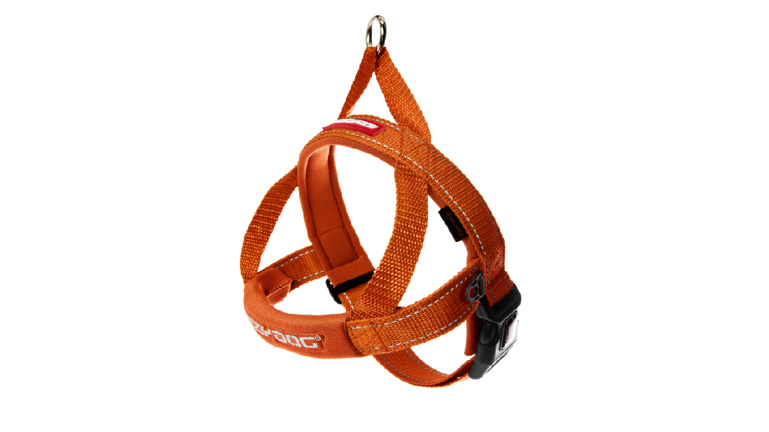 Ed Harness Qf Orange M [size:m  Colour:orange]