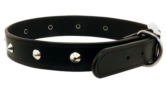 Stitched Studded Collar 32mm Black 65cm [colour:black Size:32mm Length:65cm]