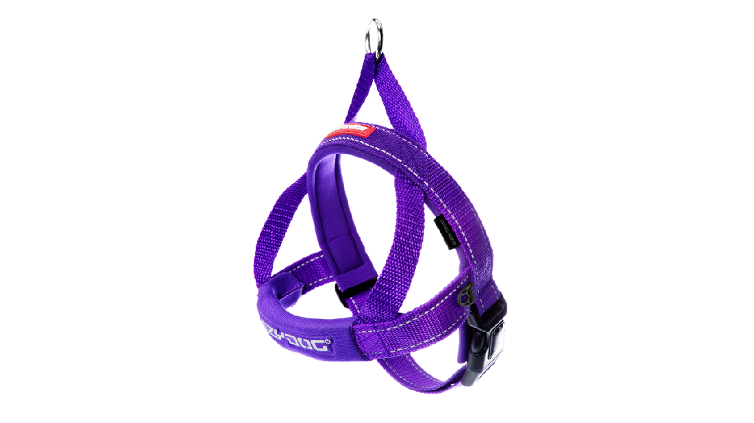 Ed Harness Qf Purple Xs [size:xs Colour:purple]