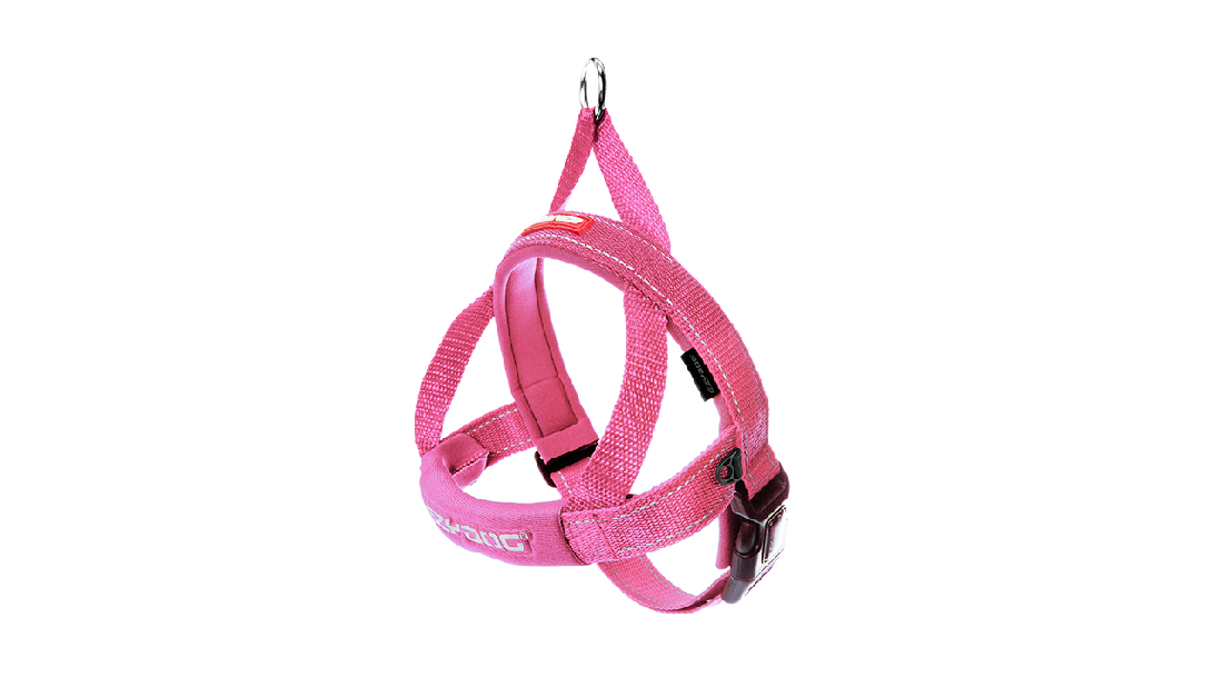 Ed Harness Qf Pink Xs [size:xs Colour:pink]