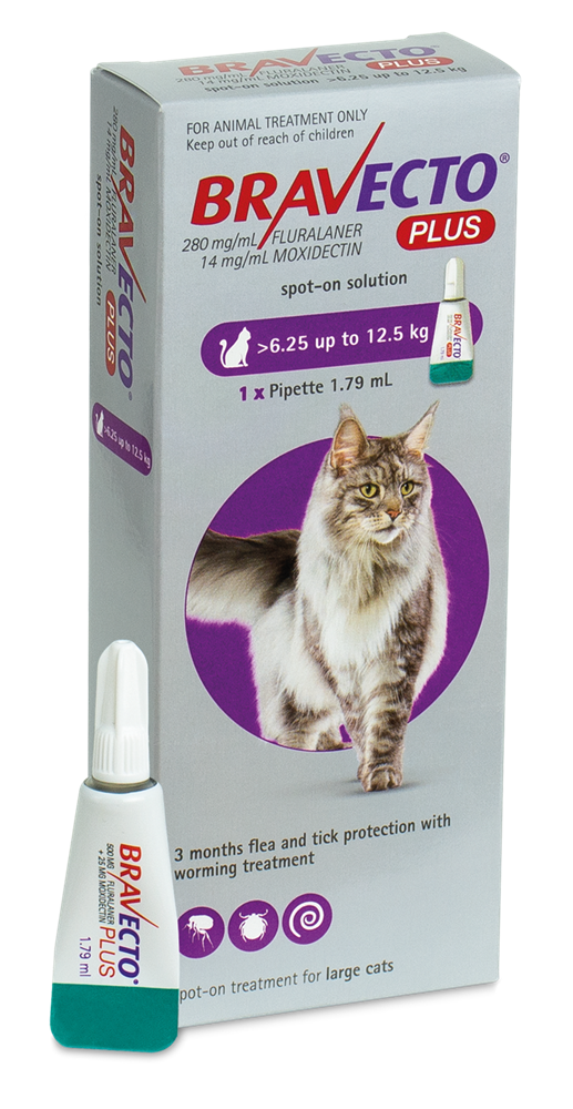 Bravecto Plus Flea, Tick & Worm Spot-on For Cats 6.25-12.5kg